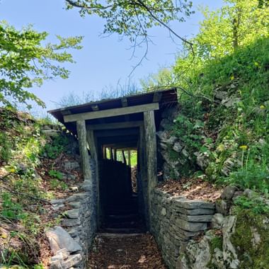 Eingang zu einer alten Bunkeranlage in Slowenien. Umgeben von Wiese und Bäumen.