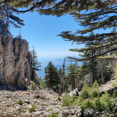 Blick zwischen Bäumen und Felsen hindurch auf das Meer und Berginseln