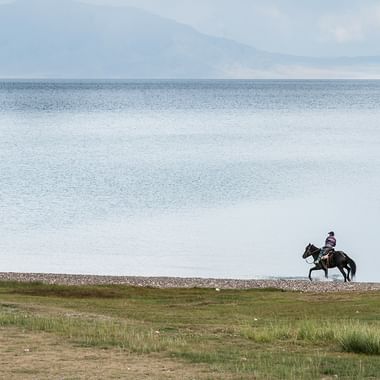 Ein Reiter reitet auf seinem Pferd an einer Küste entlang.