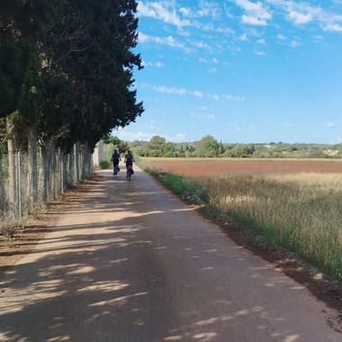 Zwei Velofahrer fahren auf einer Nebenstrasse. Links befinden Bäume. Rechts Wiese oder Felder.