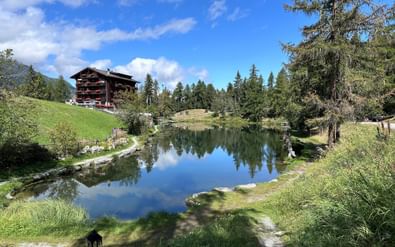Ruhiger Bergsee bei Grächen, umgeben von grünen Wiesen und Nadelbäumen, mit einem traditionellen Alpenchalet am Hang.