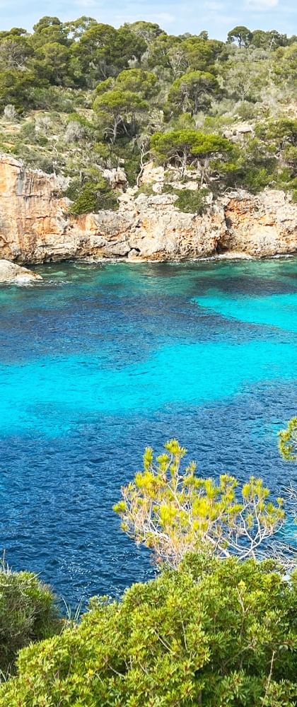 Mallorca Ausblick auf die Bucht Sant Jordi