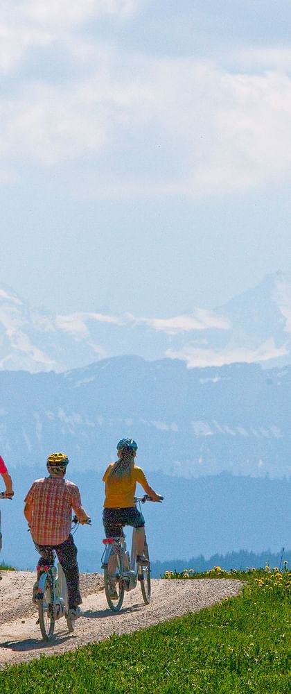 Vier Velofahrer geniessen die Aussicht auf die Berge vom Emmental aus auf ihrer Velotour auf der Herzroute.