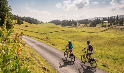 Pendant le tour à vélo sur la Route Verte, on s'aventure dans des paysages naturels spectaculaires.
