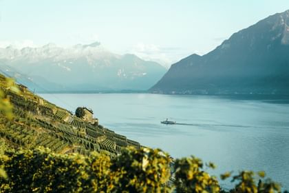 Cycling holidays Lake Geneva Discovery Tour