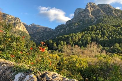 Vacances randonnées Mallorca - Trans Tramuntana