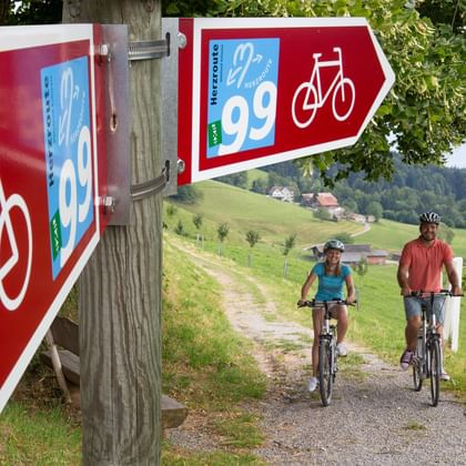 Red directional signs for cycle route 99 on wooden post, with two cyclists on path through green Swiss countryside with hills and farms.