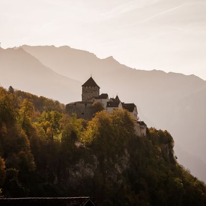 Le château de Vaduz se dresse au milieu des forêts, sous le soleil.