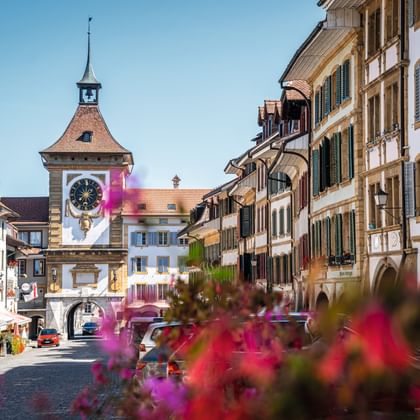 Das Berntor mit Altstadt und Blumen im Bild.