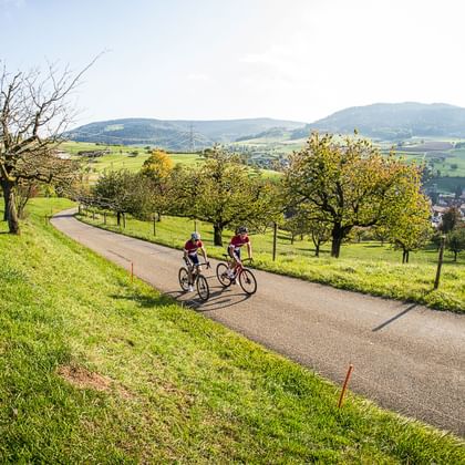 Deux cyclistes de course montent la montagne à vélo sur une route secondaire.