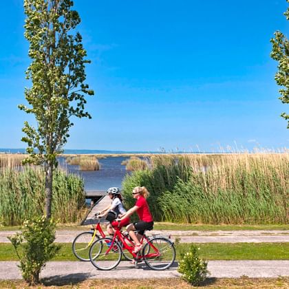 Radfahrer auf der Neusiedlersee Rundfahrt