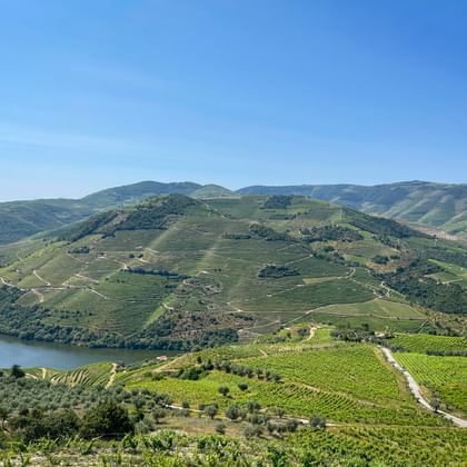 Douro Castedo Flusspanorama