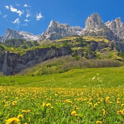 Blick auf wunderschönes Bergpanorama im Berner Oberland