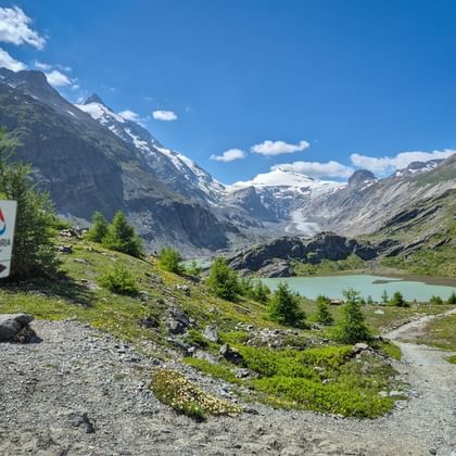 Alpe Adria Trail Schild beim Sandersee mit Großglockner Gletscher und schneebedeckten Bergen unter blauem Himmel. Almwiesen mit vereinzelten Bäumen.