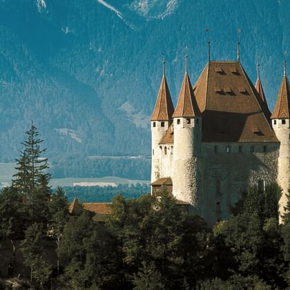 Der Turm des Schloss Thun hinter einem kleinen Stück Wald, und vor den Bergen.