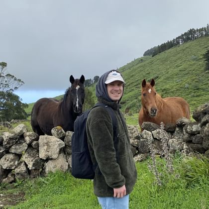 Zwei Pferde auf einer Weide auf El Hierro, die uns bei der 2. Wanderetappe begegnet sind.