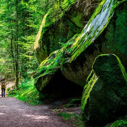 Trois randonneurs marchant sur un sentier forestier en Forêt-Noire, entourés de rochers couverts de mousse et de végétation verte luxuriante.