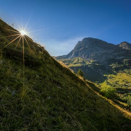 Sonnenbeleuchtete Bergwiese im Binntal mit Ausblick auf eine Berglandschaft im Hintergrund.