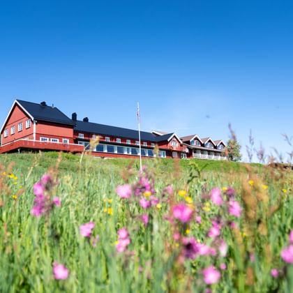 Rote Holzgebäude auf einem Hügel mit Wildblumen im Vordergrund unter blauem Himmel in Kamben, Norwegen.