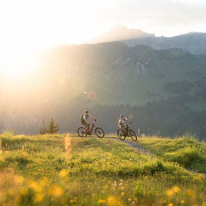 Two mountain bikers riding on a sunny alpine meadow with yellow wildflowers. Mountains and bright sunlight visible in the background.