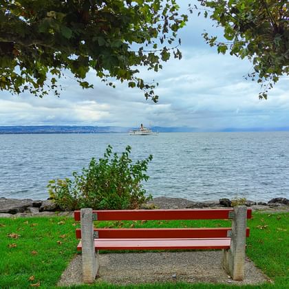 Blick auf das Kreuzfahrtschiff auf dem Genfer See