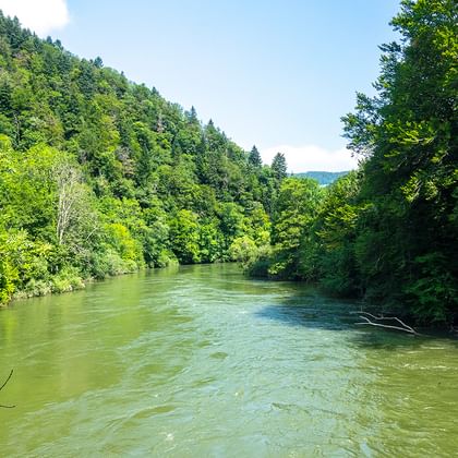 Grüner Fluss Doubs