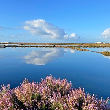 Salzsee im Ria Farmosa