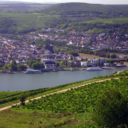 Aussicht über Rüdesheim und Bingen