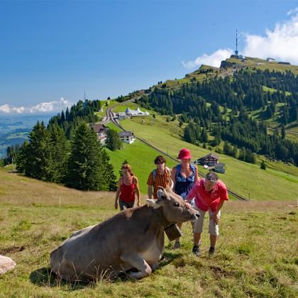 Hiking family in front of the Rigi