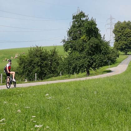 Ein Radfahrer fährt auf einer schmalen Strasse durch eine Wiesenlandschaft auf der Herzschlaufe.