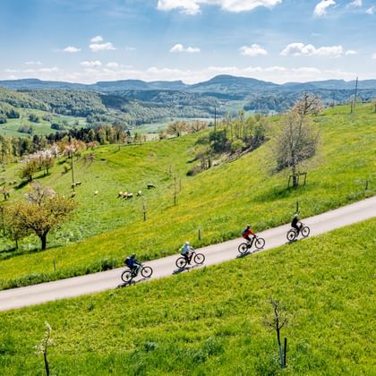 Vier E-Biker fahren auf einem asphaltierten Weg durch grüne Hügel im Baselland, Schweiz, mit Bergen und blauem Himmel im Hintergrund.