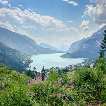 Molveno-See mit türkisfarbenem Wasser zwischen bewaldeten Bergen. Rosa Wildblumen blühen im Vordergrund unter blauem Himmel mit weißen Wolken.