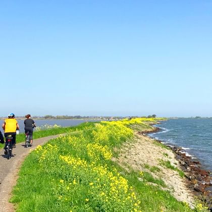 Cyclistes de dos roulant sur une digue aux Pays-Bas