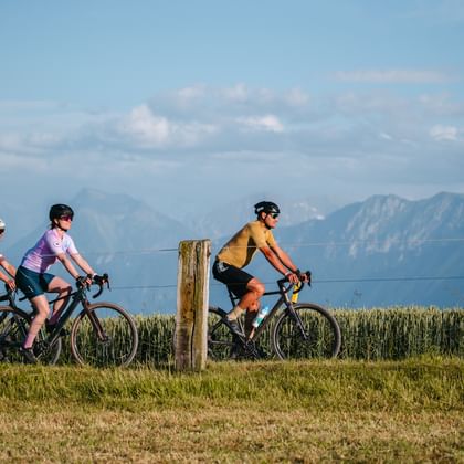 Three cyclists riding gravel bikes along a wheat field with mountains in the background in Gantrisch Nature Park near Bern.