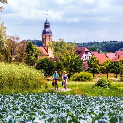 Velofahrer bei Offenau