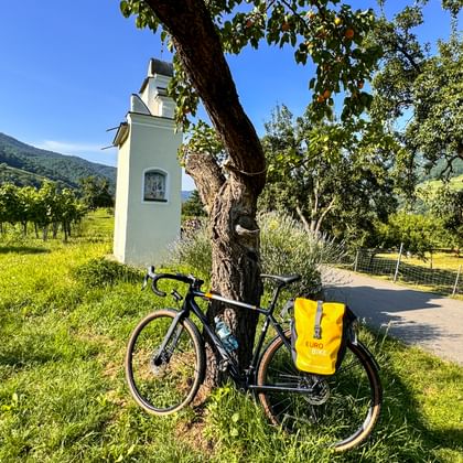 Gravelbike lehnt in der Wiese an einem Baum