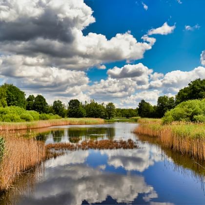 Herrliche Flusslandschaften in Belgien