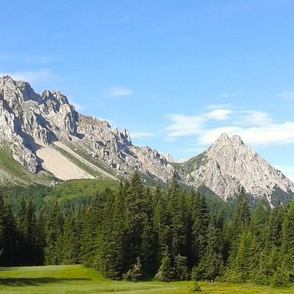 Dramatische Kalksteingipfel der Friuler Alpen erheben sich über dichte grüne Nadelwälder unter blauem Himmel mit weißen Wolken.