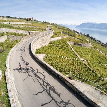 Auf einer Strasse über einem Rebberg fahren zwei Radfahrerinnen am Genfersee entlang.
