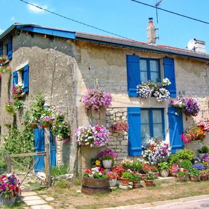 altes Haus mit vielen Blumen
