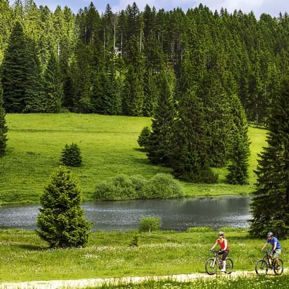 Two cyclists ride on the cycle paths next to a river in the Jura. There are lots of conifers in the background.