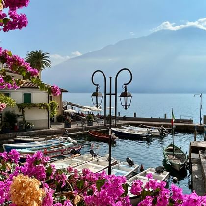 Bunter Hafen in Limone am Gardasee mit lila Bougainvillea-Blüten, kleinen Booten, traditionellen Gebäuden und Bergen im Hintergrund.
