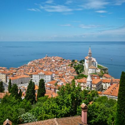 Luftaufnahme der historischen Altstadt von Piran auf einer Halbinsel mit orangefarbenen Dächern, weißem Kirchturm und Zypressen mit Blick auf die blaue Adria.