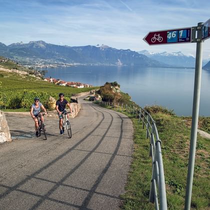 Deux cyclistes sur chemin près de Rivaz avec panneau indiquant la route 46. Lac Léman et montagnes en arrière-plan avec vignobles.