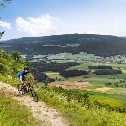 Cyclistes et, en arrière-plan, différents champs. Le vélo du Jura. Vacances à vélo avec Eurotrek.