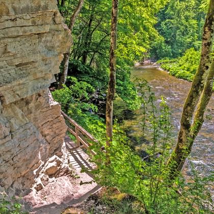 Faszinierende Wutachschlucht im Schwarzwald