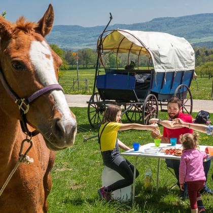 Eine vier Köpfige Familie sitzt auf der Wiese, an einem Quadratischen Tisch und macht Picknick. Das Pferd steht daneben und der Planwagen im Hintergrund. Planwagenferien mit Eurotrek.