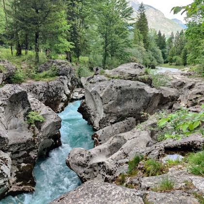 Soca Schlucht, Slowenien: Türkisfarbener Flus umgeben von geschliffenen Steinen und Bäumen