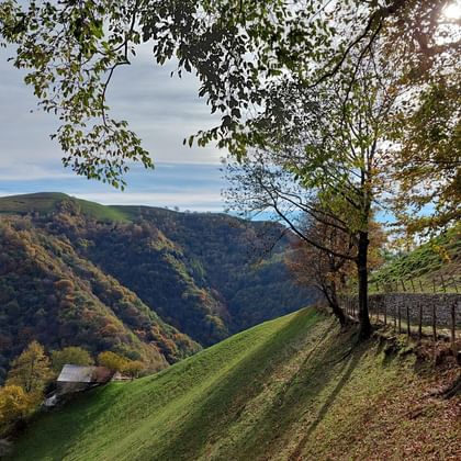 Old smugglers' path near Scudellate. Monte-Generoso-Valle-di-Muggio. Hiking holidays with Eurotrek.