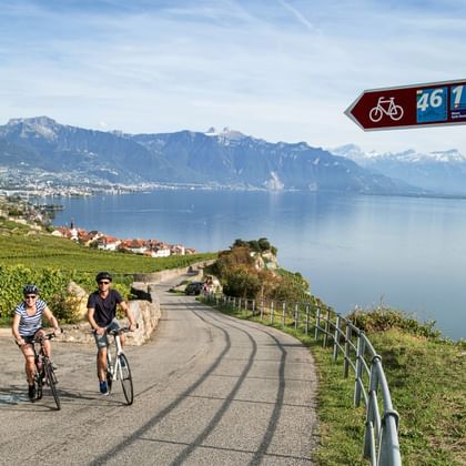Radtour am Genfersee bei Rivaz im Kanton Waadt